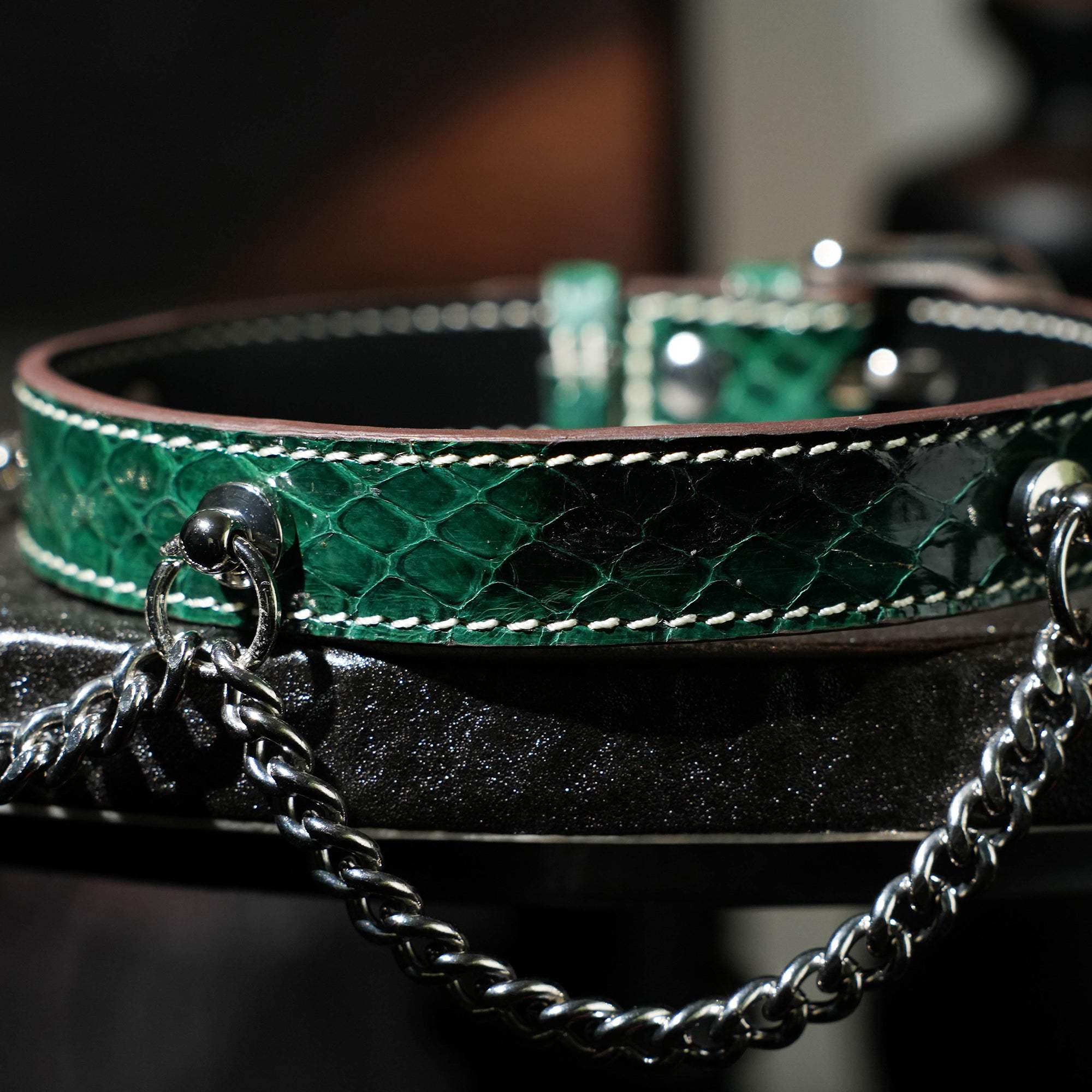 Echo Double Silver Chain Choker More Color Chosse