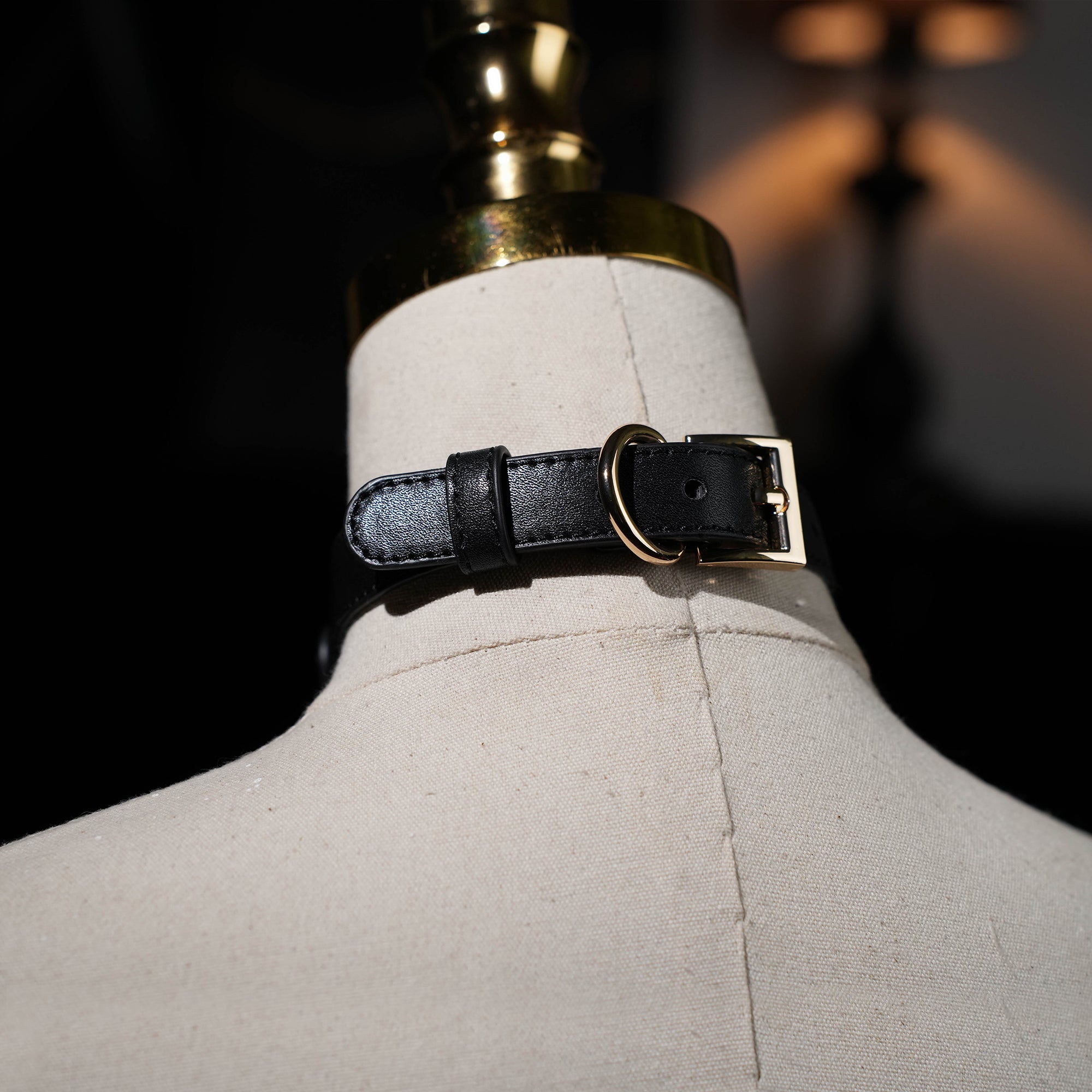 Tartarus Classic Black Collar